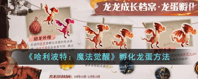 【攻略】哈利波特：魔法觉醒龙蛋孵化技巧分享