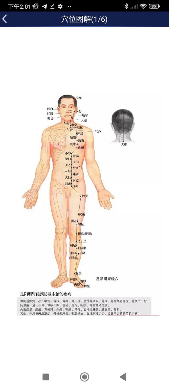 3D人体解剖图谱